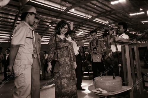 DATUK SERI RAFIDAH AZIZ