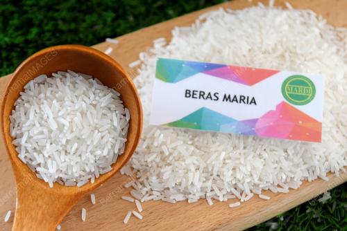 PADI BAHARU MARDIRICEAROMA (MARIA)