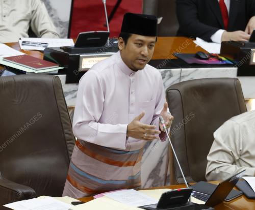 MOHD NAJWAN HALIMI