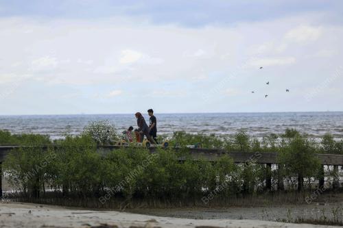 KAMPUNG BATU LAUT PANTAI SEPAT SEPANG