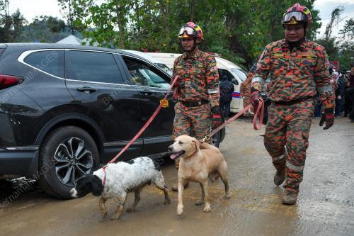 ANJING UNIT K9