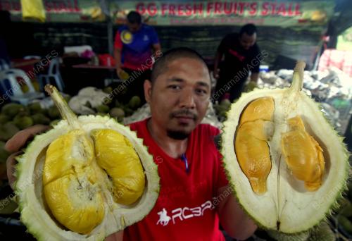 MUSIM DURIAN