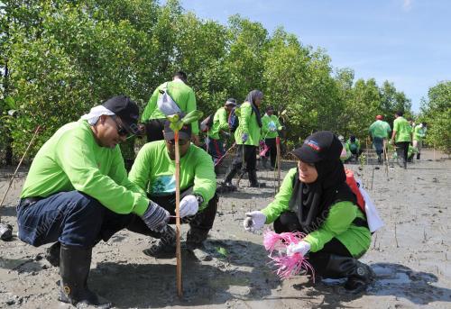 SG07_23052016_BAKAU
