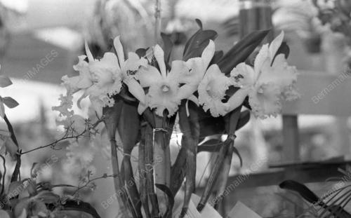 SG07_23102015_AGASIA