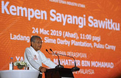 SG07_24032019_PM_SAWIT_BN201903224264