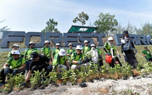 PROGRAM HIJAU LESTARI