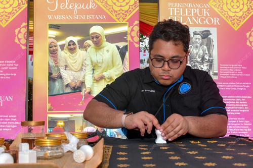 FARHANI SHAMSUDIN