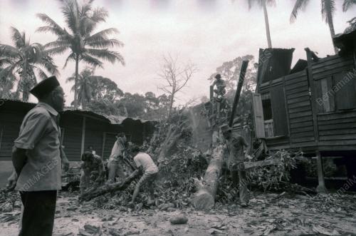 RUMAH DITIMPA POKOK DI KAMPUNG PAYA JARAS