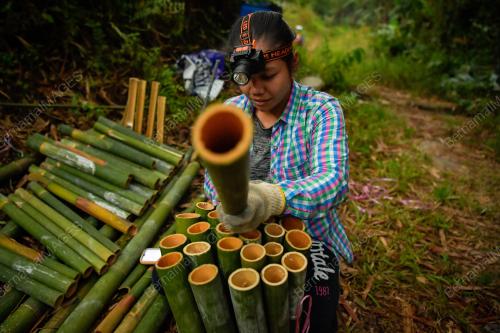 PEMBEKAL BULUH LEMANG