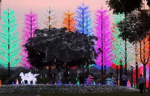 ORIENTAL DIGITAL LIGHTS FESTIVAL SHOWCASE
