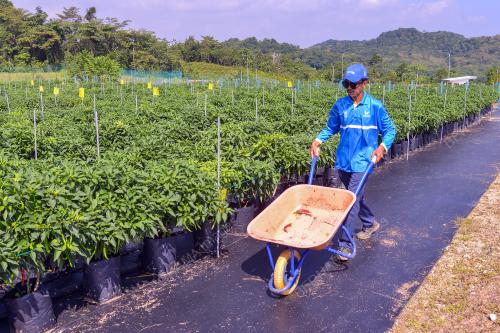 PESERTA AGROEKONOMI