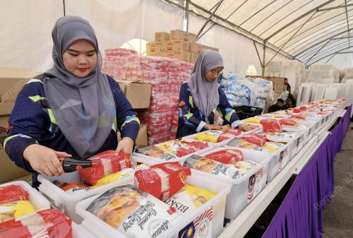 JAMILAH MOHD JAMHARI