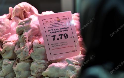 PEMANSUHAN SUBSIDI HARGA AYAM
