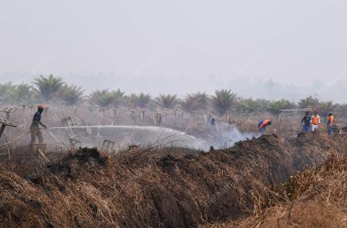 KEBAKARAN HUTAN SIMPAN KEKAL KUALA LANGAT