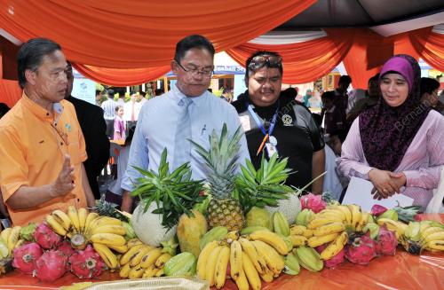 SG08_02112015_KEMPEN_BUAH
