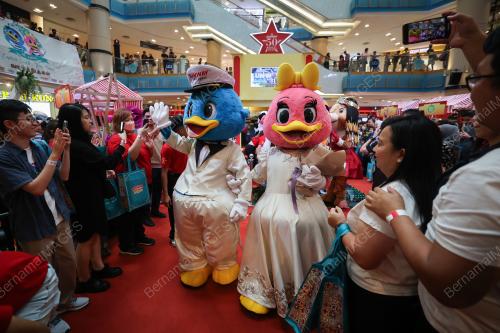 CAPTAIN QUACK AND LADY QUACK WEDDING