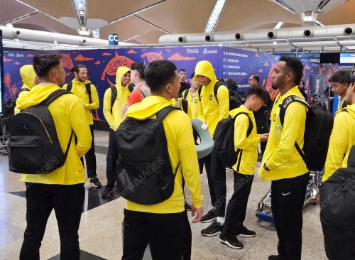 HARIMAU MALAYA