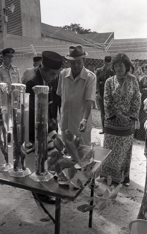 TUANKU JA'AFAR