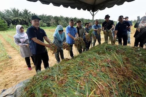 DATUK SERI MOHAMAD SABU