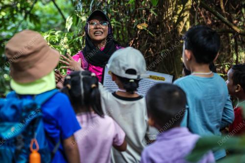 TODDLERS FOREST EXPLORATION
