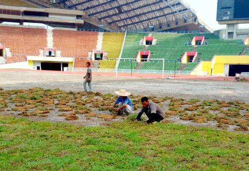 SG08_14032016_STADIUM