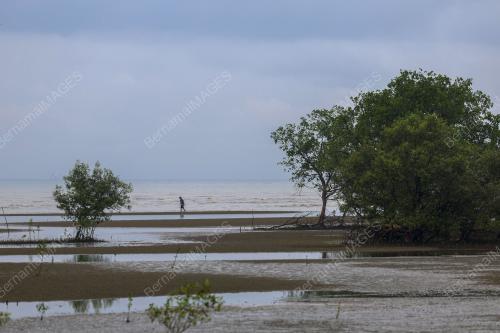 KAMPUNG BATU LAUT PANTAI SEPAT SEPANG