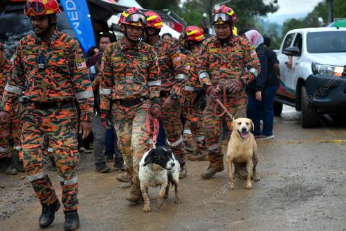 ANJING UNIT K9