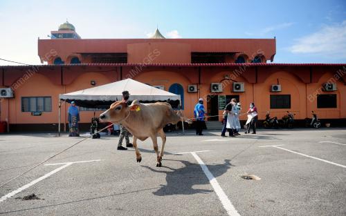 TINJAUAN SAMBUTAN HARI RAYA AIDILADHA