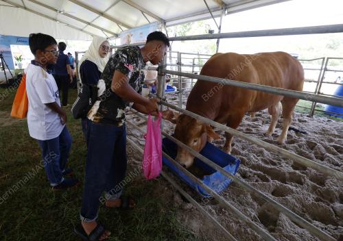 PROGRAM MADANI RAKYAT 2024