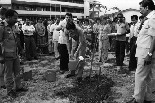 TANAM POKOK