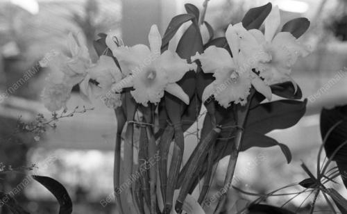 SG08_23102015_AGASIA