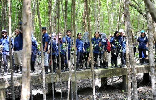 SG08_24092016_MBAM