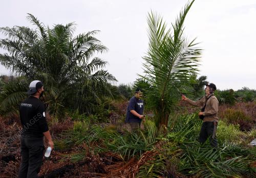 HUTAN SIMPAN KUALA LANGAT SELATAN