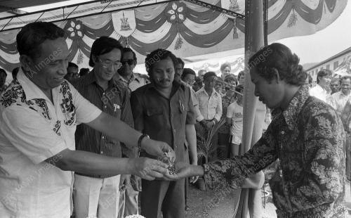 JUN 1980