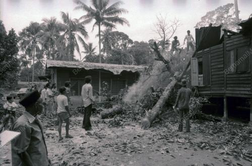 RUMAH DITIMPA POKOK DI KAMPUNG PAYA JARAS