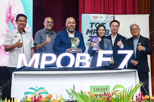 DATUK SERI DR NORAINI AHMAD