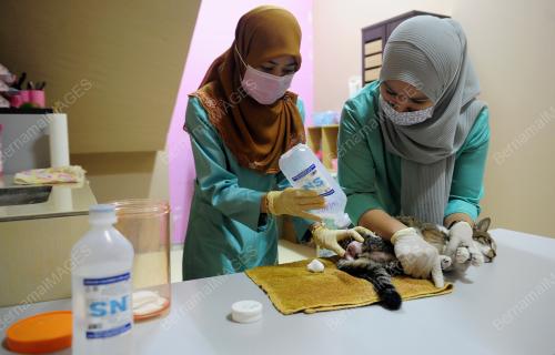 TINJAUAN PENGOPERASIAN KLINIK HAIWAN