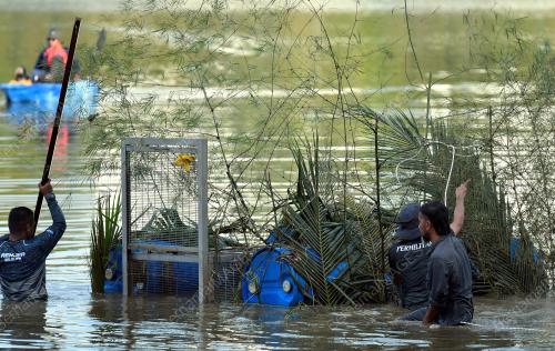 BUAYA TEMBAGA TASIK SEKSYEN 7 SHAH ALAM