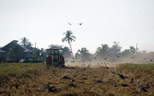 AKTVITI PELADANG DALAM TEMPOH SEKATAN PERGERAKAN PENUH
