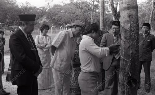 TUANKU JA'AFAR