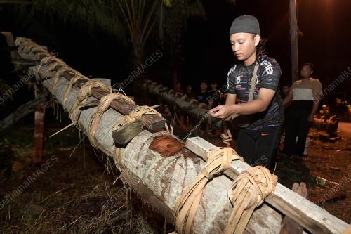 MERIAM BATANG KELAPA