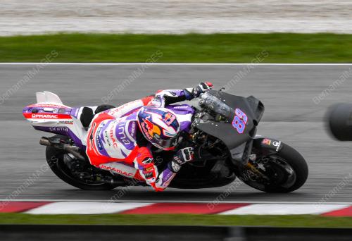 JORGE MARTIN