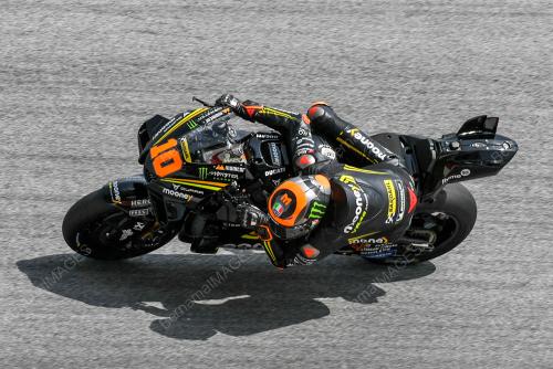 LUCA MARINI