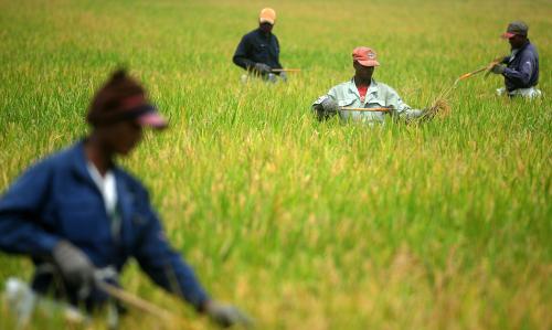 TINJAUAN AKTIVITI PEKERJA SAWAH
