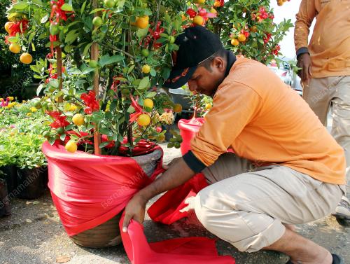 SG09_13022015_PERSIAPAN