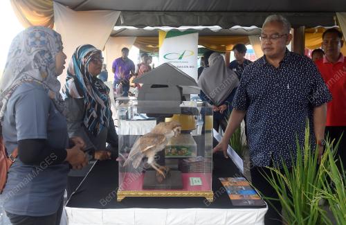 PERASMIAN HARI LADANG