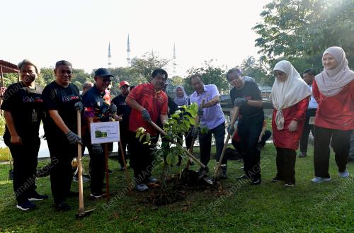 PROGRAM PENANAMAN POKOK SHAH ALAM TREES FOR LIFE