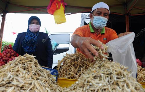 TINJAUAN DI PASAR TANI TTDI JAYA SHAH ALAM
