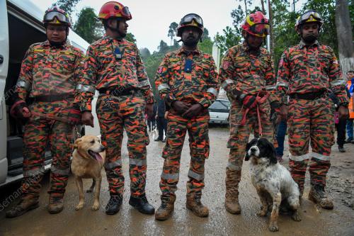 ANJING UNIT K9