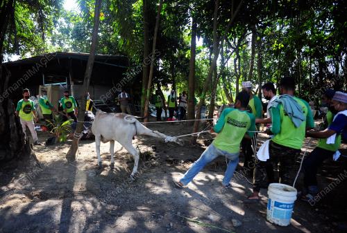 TINJAUAN SAMBUTAN HARI RAYA AIDILADHA